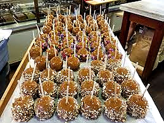 Trays of caramel apples on sticks, rolled in chopped nuts